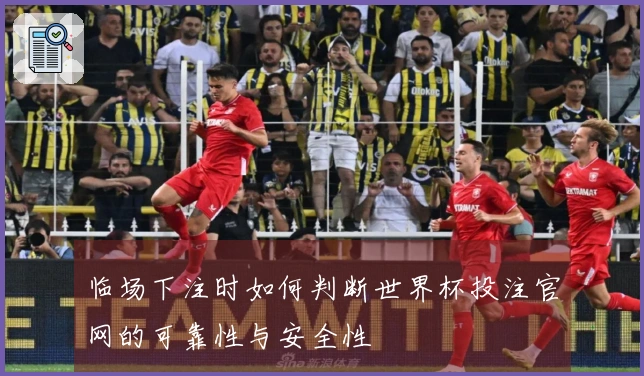 临场下注时如何判断世界杯投注官网的可靠性与安全性