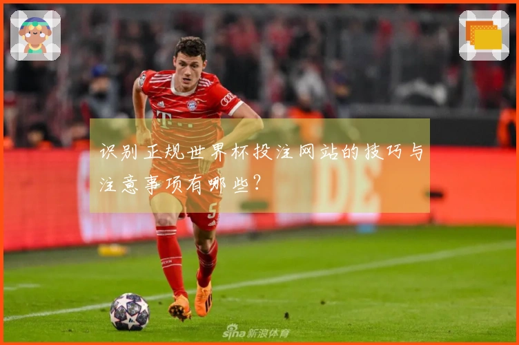 识别正规世界杯投注网站的技巧与注意事项有哪些？
