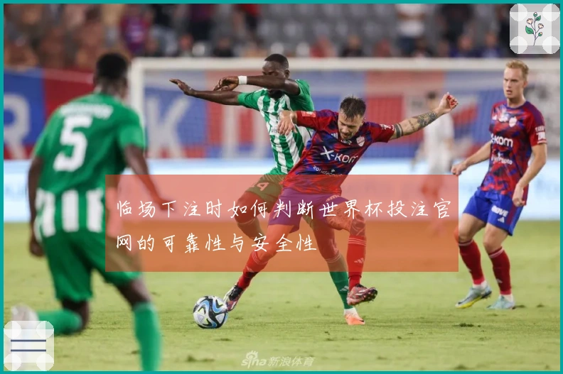 临场下注时如何判断世界杯投注官网的可靠性与安全性
